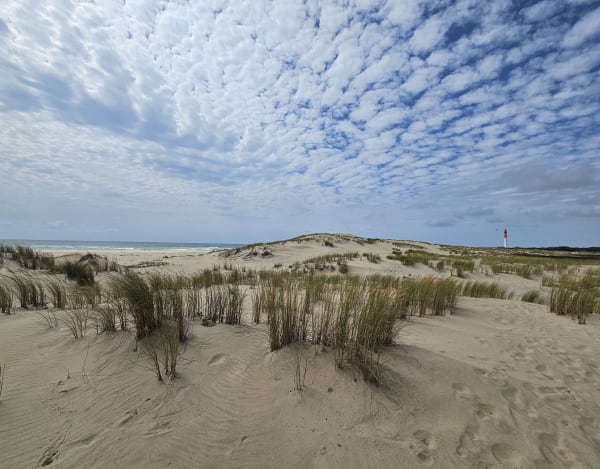 Phare de la coubre - La Tremblade - 1