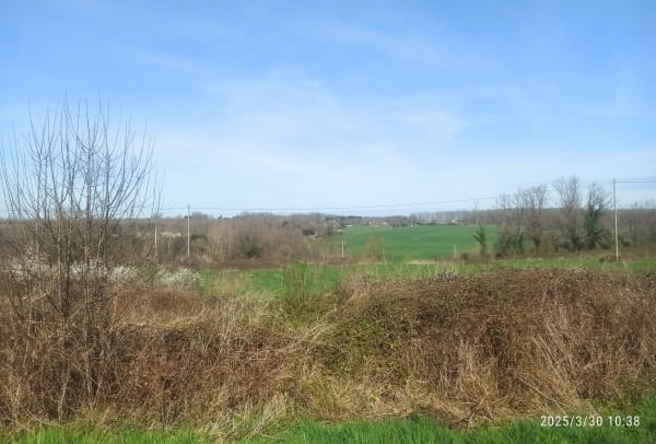 Boucle de Bellerive-sur-Allier à Serbannes - Bellerive-sur-Allier - 1