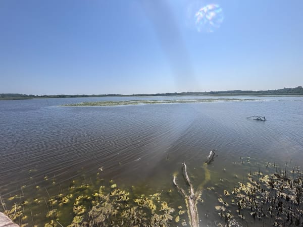 Rijden door de vijvers van Brenne en natuurlijke poëzie - Rosnay - 1