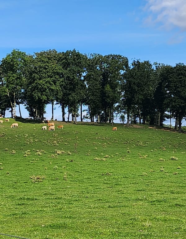 Balade tranquille dans le Vexin - Le Heaulme - 1