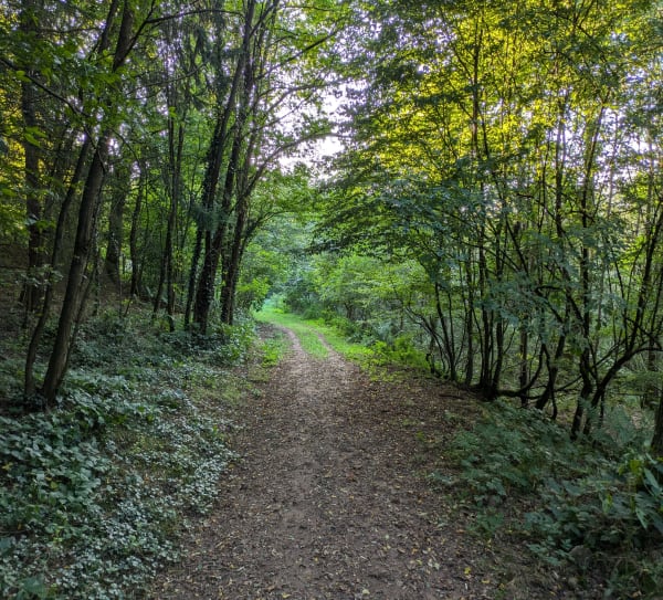 Sentier du centenaire, Troismaisons - Matthieu - 1