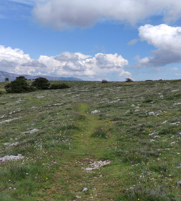 Plateau de Calern extraordinaire - Caussols - 1