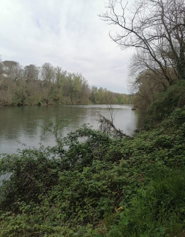 Chemin des fontaines St-Juéry - véronique - 1