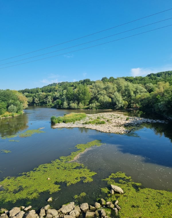 Au cours de l’eau : Meurthe et canal à Nancy - Nancy - 1
