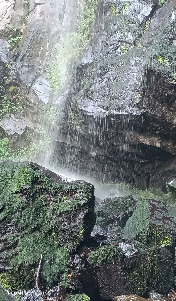 Evasion pédestre à la Cascade du Saut du Loup - Mont-Dore - 1