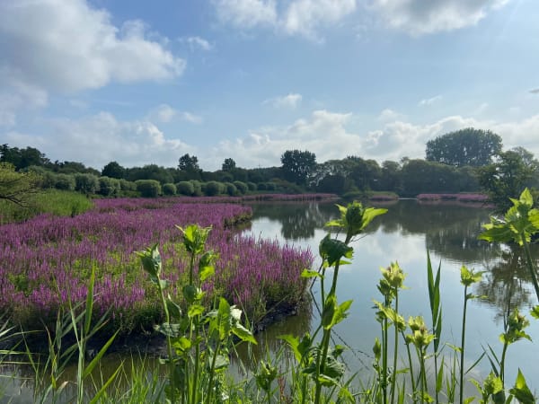 Les chemins de Louvil jusqu'aux marais de Bonnance - Louvil - 1