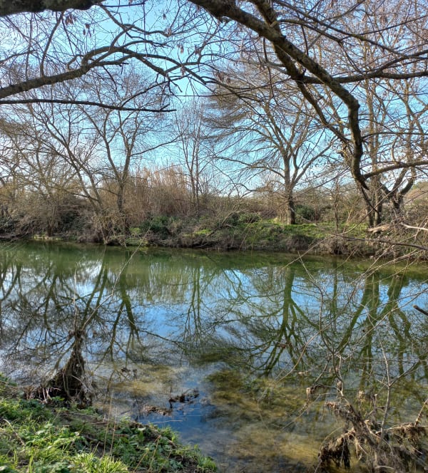 Petite promenade à Saint-Hilaire-de-Beauvoir - Saint-Hilaire-de-Beauvoir - 1