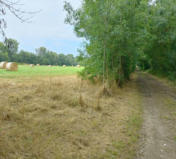 Marche nordique à Oudon et la Loire - Oudon - 1