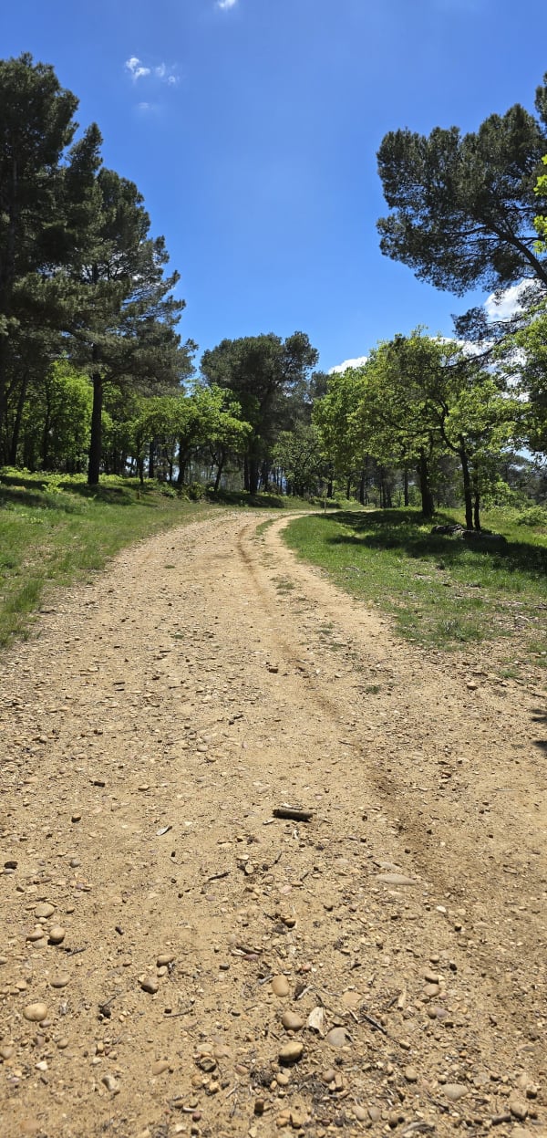 Marche à Bédarrides - Sorgues - 1