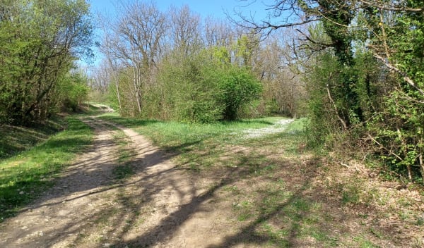 Saint Yrieix dans les bois - Angoulême - 1