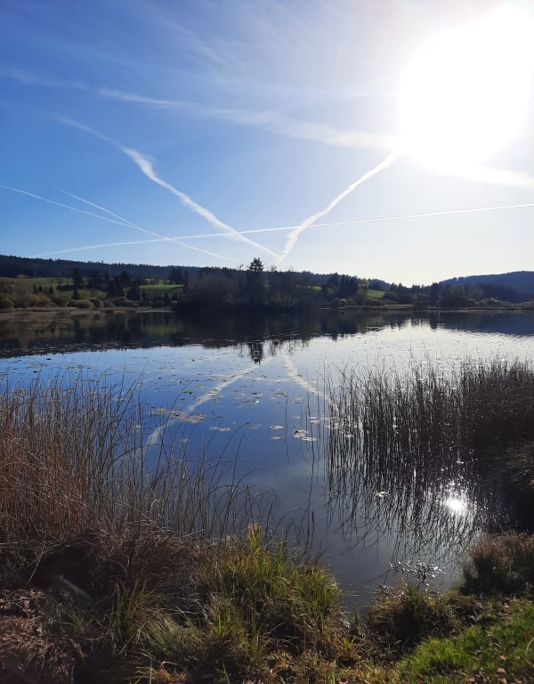 Le Tour du lac de Remoray - Labergement-Sainte-Marie - 1