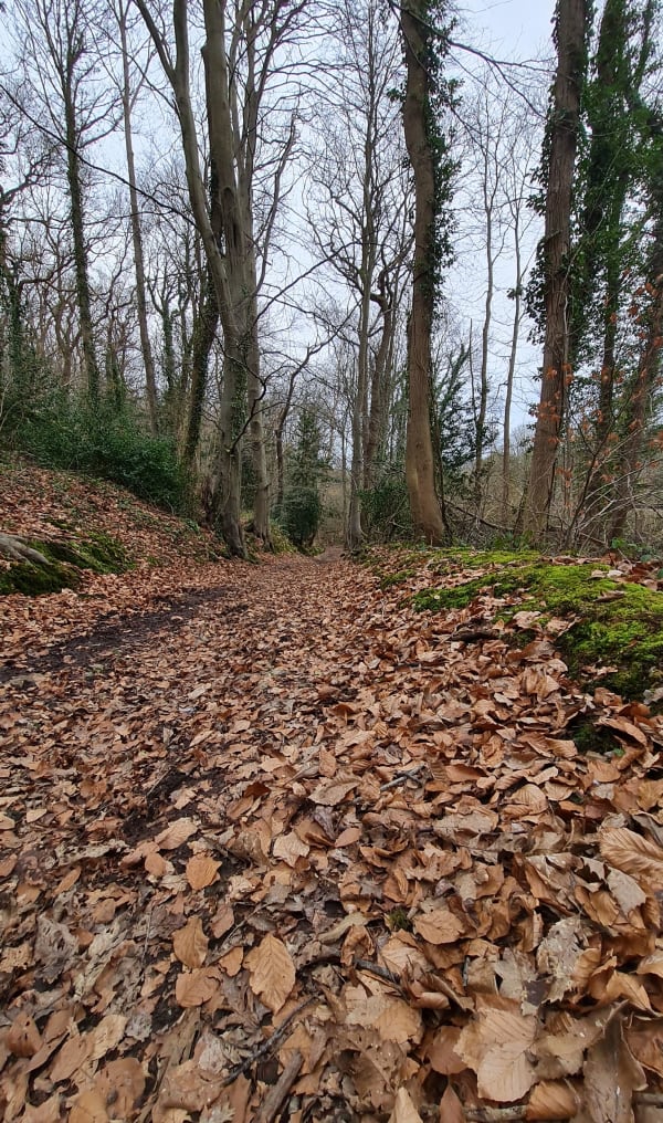 Petite marche entre Gainneville et Saint Laurent - Gainneville - 1