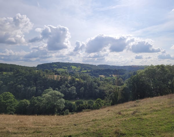 Du Mont Olivier à la Vire, autour de Campeaux - Campeaux - 1