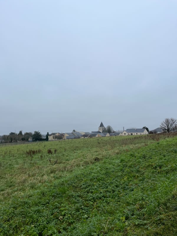 Virée dans les bois de Vau Profond - Vernoil-le-Fourrier - 1