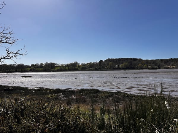 Longer les rives du Vincin - Vannes - 1