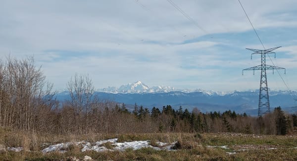 Randonnée entre forêt et alpage au Plateau du Retord - david - 1
