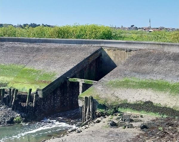 Les bassins du Quai de la Criée, d'Ars-en-Ré - Ars-en-Ré - 1