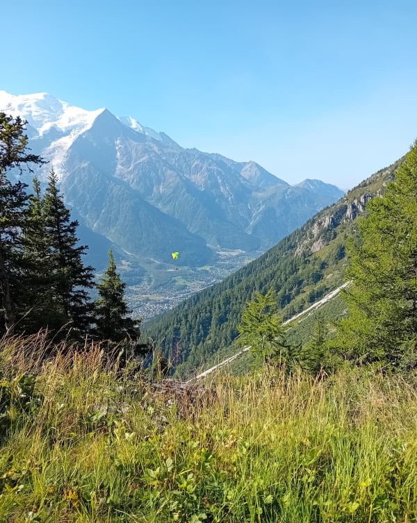 Montée jusqu'à Planpraz par la montagne de la Parsa - Chamonix-Mont-Blanc - 1
