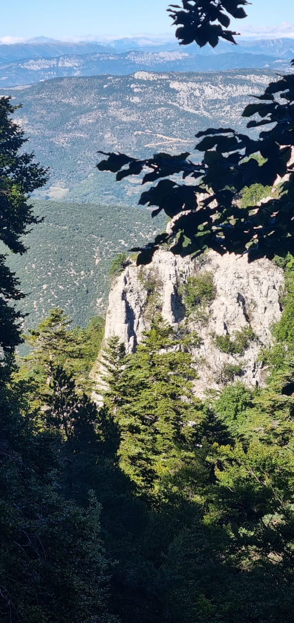 Autour du Mont Serein en famille - Beaumont-du-Ventoux - 1