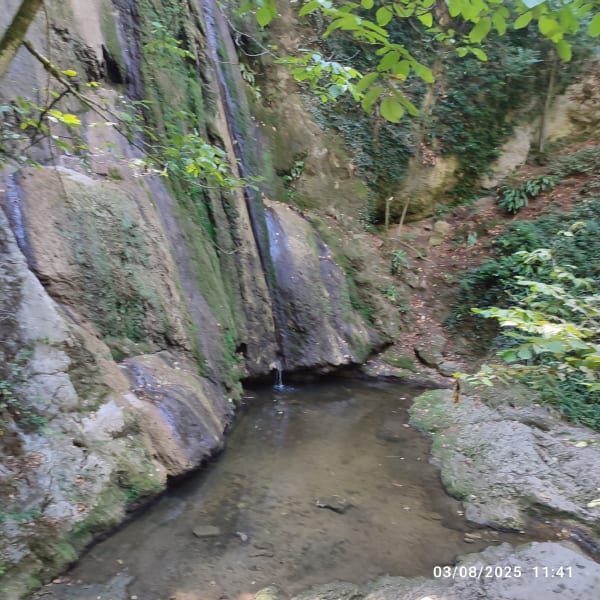 Vallière waterval en bosbaden in Ceyzériat - Ceyzériat - 1