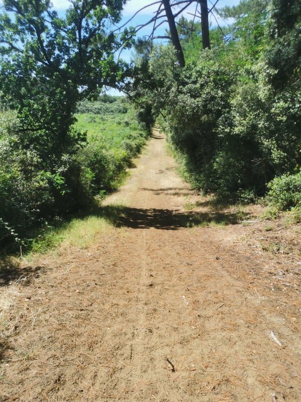Sentier des roseaux - La Tremblade - 1