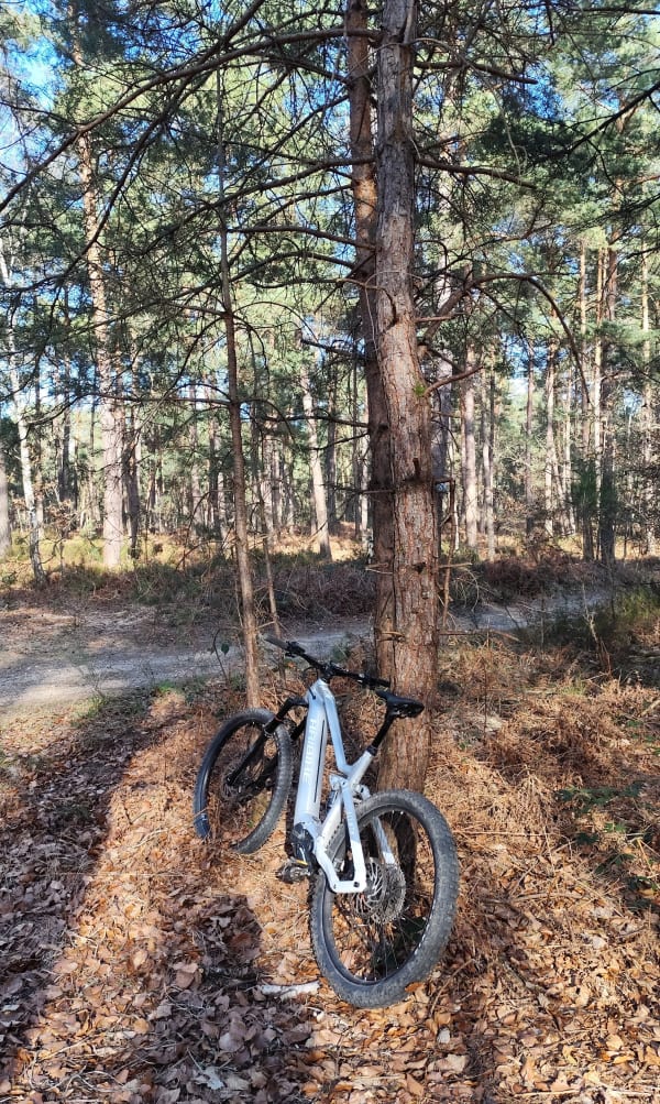 Sortie en sous-bois de Barbizon - Dammarie-les-Lys - 1