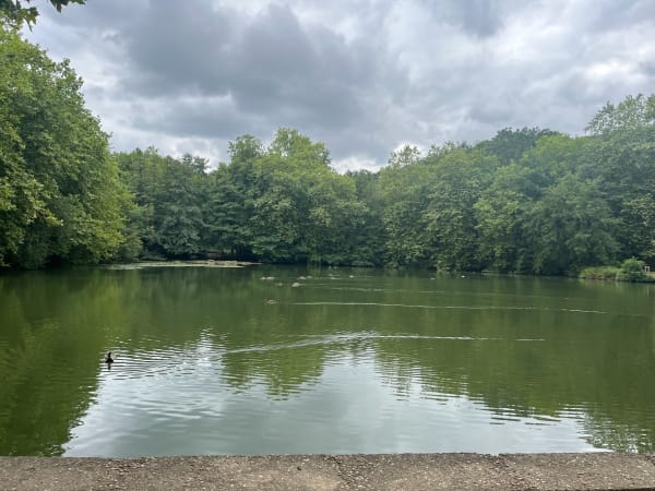 Promenade dans les bois de Meudon et Clamart - Clamart - 1