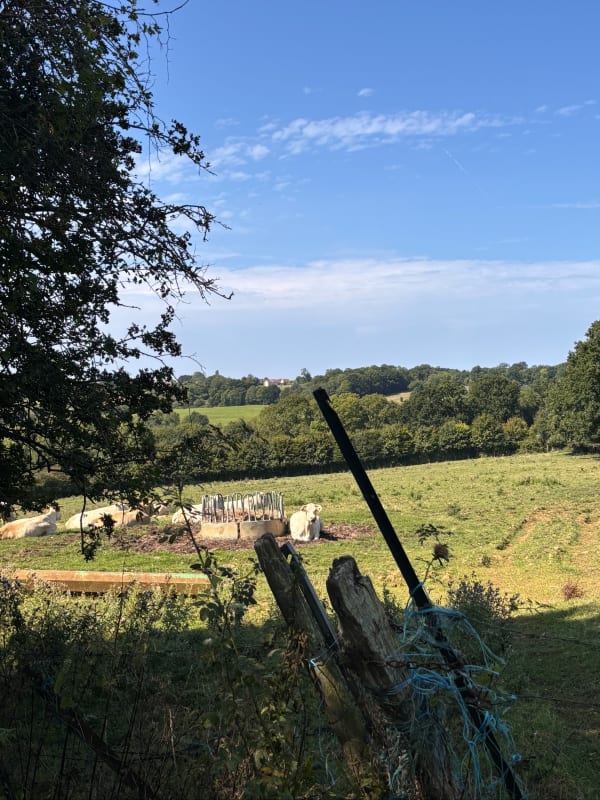 Sortie Gouvix - Angoville - Gouvix - 1
