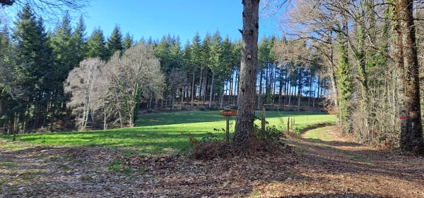 Montée à Puy Capel en redescendant par le Faisan - annie - 1