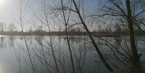 Longages et les lacs de Sabatouse - Longages - 1