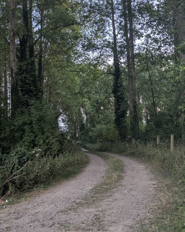 Découverte des Weppes par le Marais de Hollande - Sainghin-en-Weppes - 1