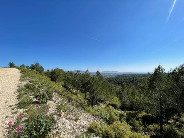 Palama : sérénité et évasion garanties au vallon des Ouides - Marseille - 1