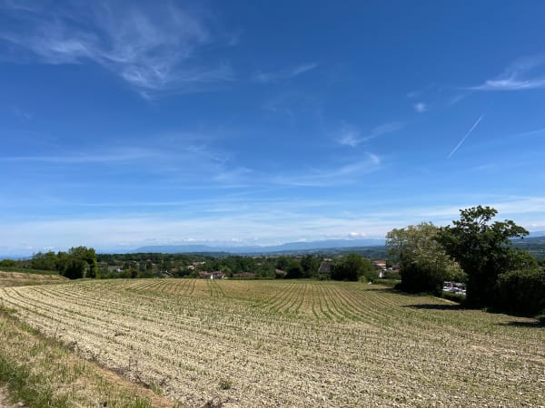 Chèzeneuve et balade entre bois d'Avrillat et campagne - Chèzeneuve - 1