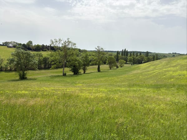 Mirepoix, par le hameau de Tourrens - Matthieu - 1