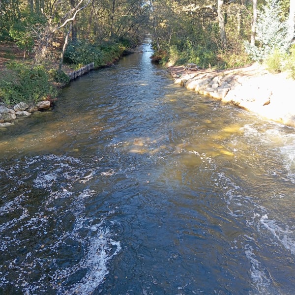 Promenade au parc de la Cheneraie et détente près du canal - GUJAN-MESTRAS - 1