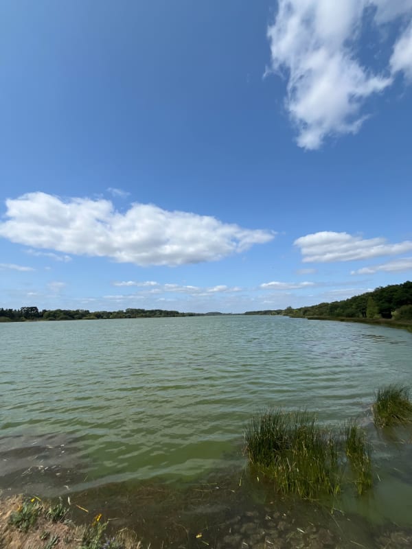 Tour de l'étang de St-Quentin en Yvelines depuis le Mini Golf - Trappes - 1