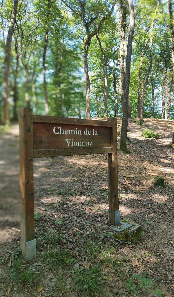 Balade dans les bois de Lonnaz - Thonon-les-Bains - 1