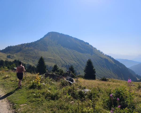 Witte Chalet Loop - Taninges - 74 - Mieussy - 1