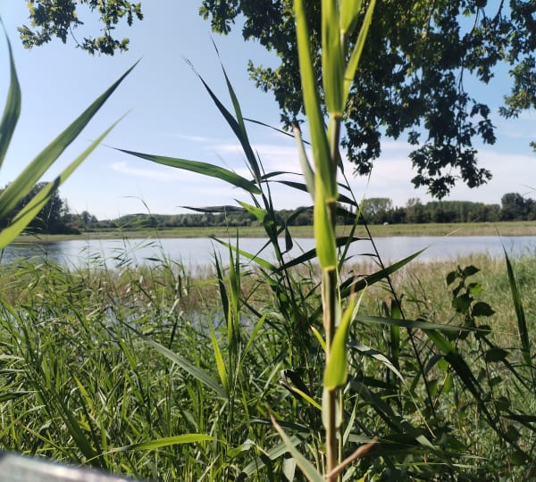 Entre le centre et la nouvelle Aquitaine - Champigny-sur-Veude - 1