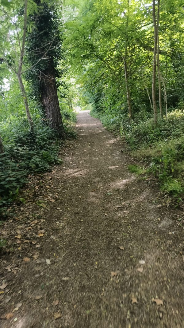 Parcours découverte en forêt de Montgeon - Le Havre - 1