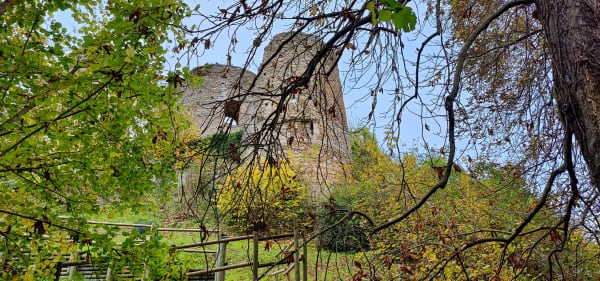 Vallée du Rouloir et manger des pommes à Conches-en-Ouche - Conches-en-Ouche - 1