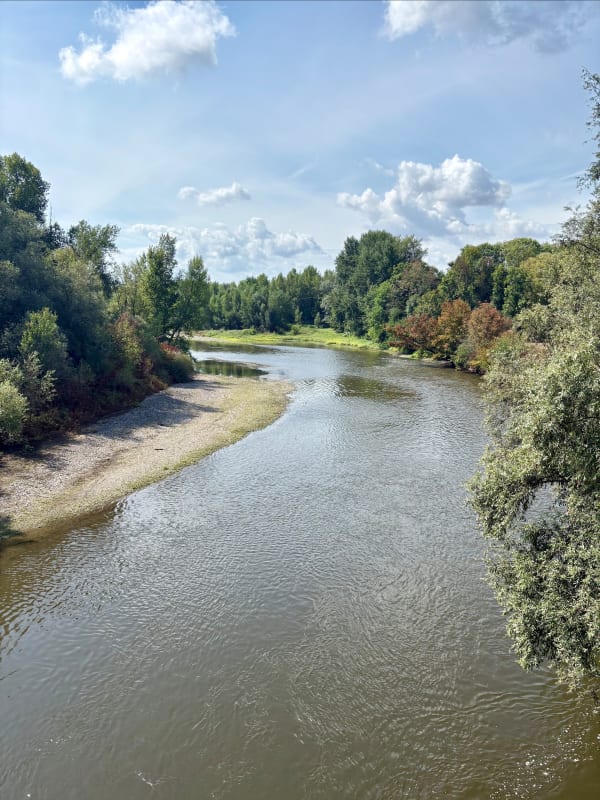 Chemins au bord de l’Allier - Limons - 1