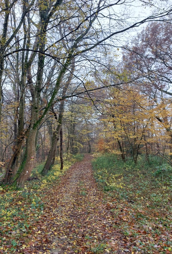 Balade sur 3 commune depuis Saint-Just-Chaleyssin - Saint-Just-Chaleyssin - 1