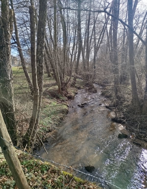 Boucle à Moulet-Marcenat - Volvic - 1