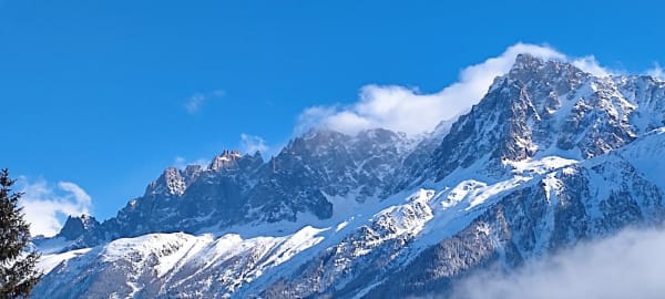 Hertenpad en diep bos - Les Houches - 1