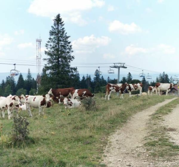 Montrond -Métabief - Les Hôpitaux-Neufs - 1