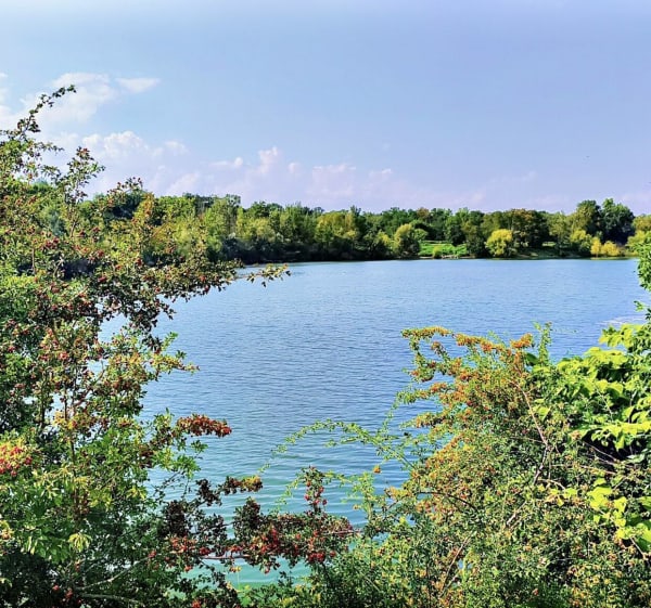 Tour du lac de Ensisheim et parcours des Tumuli - Ensisheim - 1