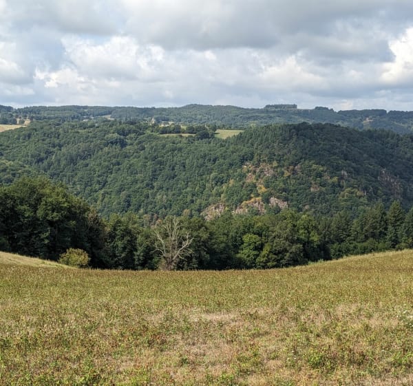 Boucle au départ de l'église du Vieux Bourg - Saint-Geniez-ô-Merle - 1