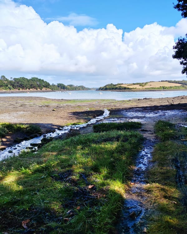 Pépite de la mer d’Iroise, l’Aber Benoit - Saint-Pabu - 1