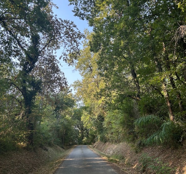 Promenade autour de Mérignas - Paula - 1
